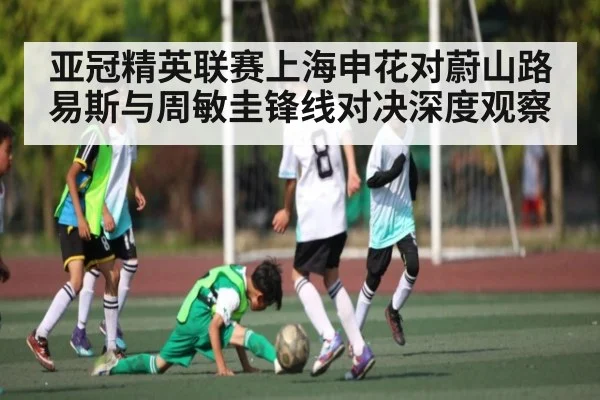 亚冠精英联赛上海申花对蔚山路易斯与周敏圭锋线对决深度观察 | Kaiyun Sports